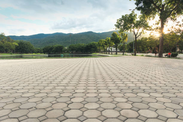 Best Custom Driveway Pavers  in Port Neches, TX